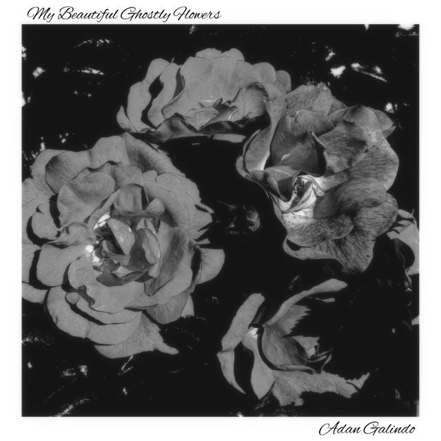 Adan Galindo - 'My Beautiful Ghostly Flowers' [Ringtone]