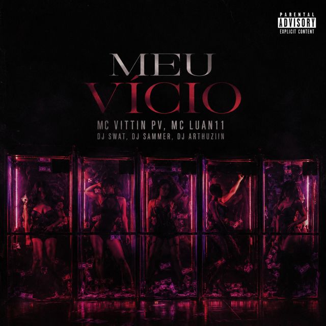 DJ Swat - 'Meu Vício (feat. Mc Vittin PV & DJ Sammer & DJ ARTHUZIIN & Luan11)' [Ringtone]