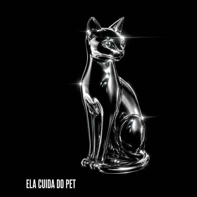 DJ VN DA VILA - 'ELA CUIDA DO PET' [Ringtone]