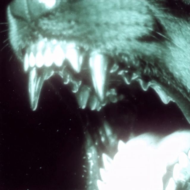 DNY - 'HASTA EN LOS DIEEEENTES' [Ringtone]
