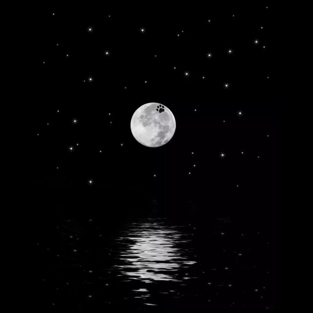 Drakhho LJ - 'Luna' [Ringtone]