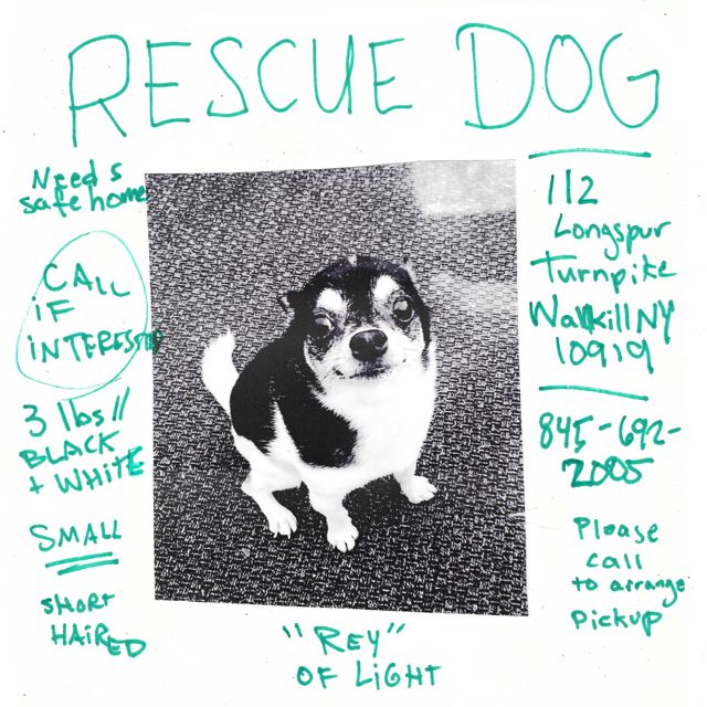 Dylan Owen - 'Rescue Dog' [Ringtone]