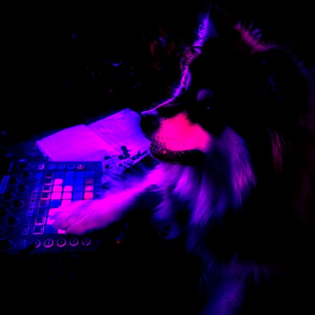 Antimelody Project - 'Mind Trap (slow remix)' [Ringtone]
