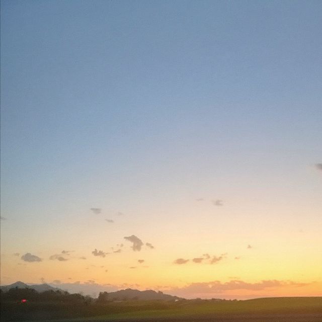 Løvesick - 'Forget (sped up)' [Ringtone]