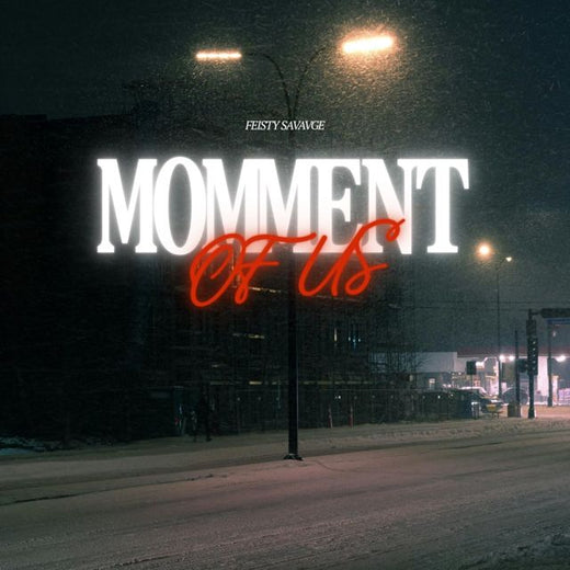 Feisty Savage - 'Moment of us' [Ringtone]