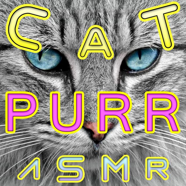ASMR Wizard - 'Cat Purr ASMR' [Ringtone]
