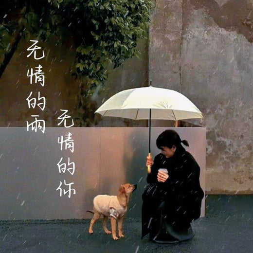 梨子芹菜 - '无情的雨无情的你' [Ringtone]