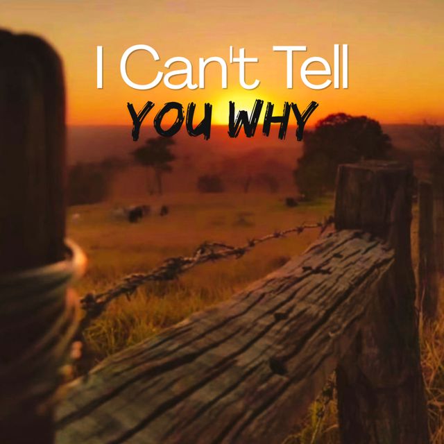Thomas Andrew - 'I Can't Tell You Why' [Ringtone]