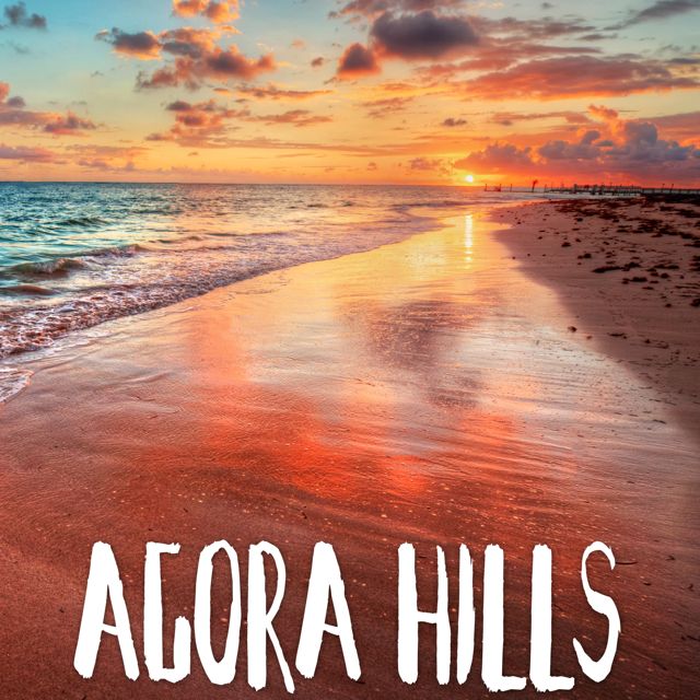 Tropical Jawns - 'Agora Hills (Marimba)' [Ringtone]