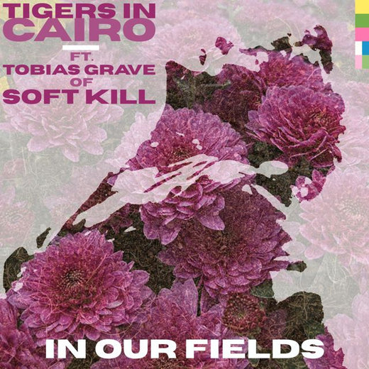 Tigers In Cairo - 'Wavy Eyes - 2025 remaster' [Ringtone]