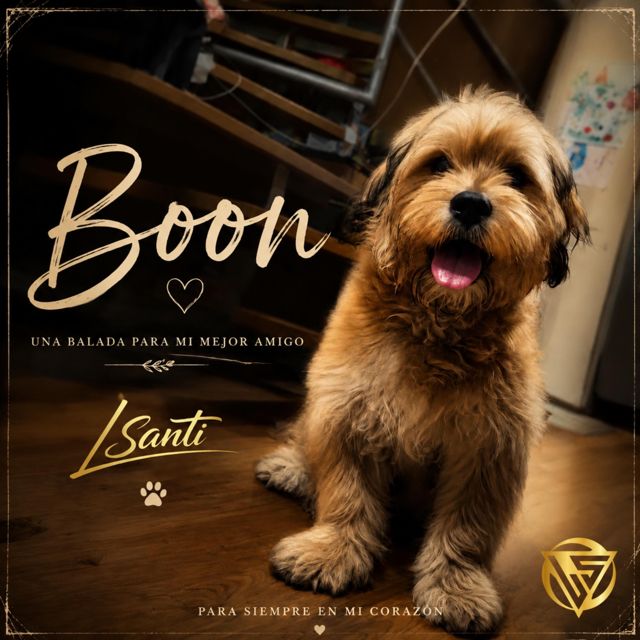 LSanti - 'Boon' [Ringtone]
