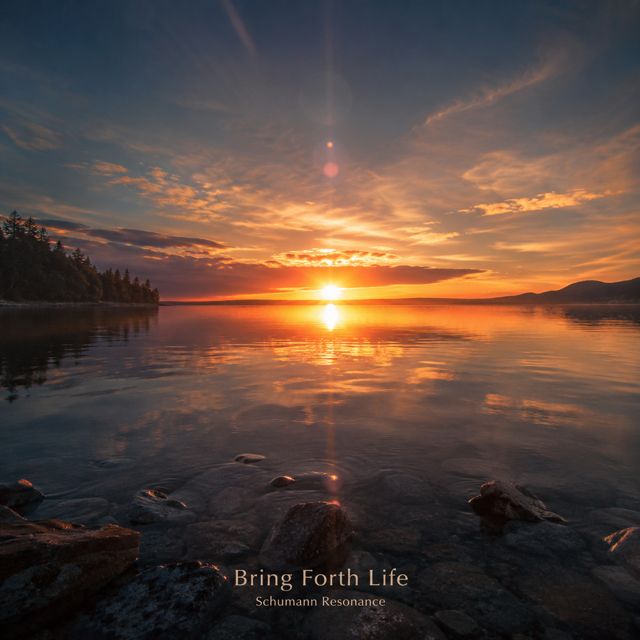Quiet Place - 'Rivers' [Ringtone]
