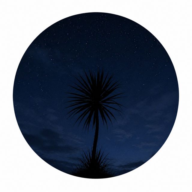 Hyarlley - 'SILHOUETTES' [Ringtone]