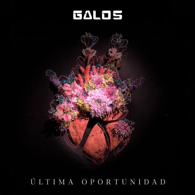 GALOS - 'Última Oportunidad (feat. NOHVA)' [Ringtone]
