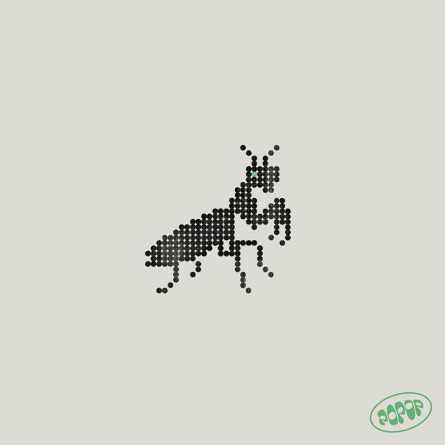 Ping Pong Go - 'Pharaon' [Ringtone]
