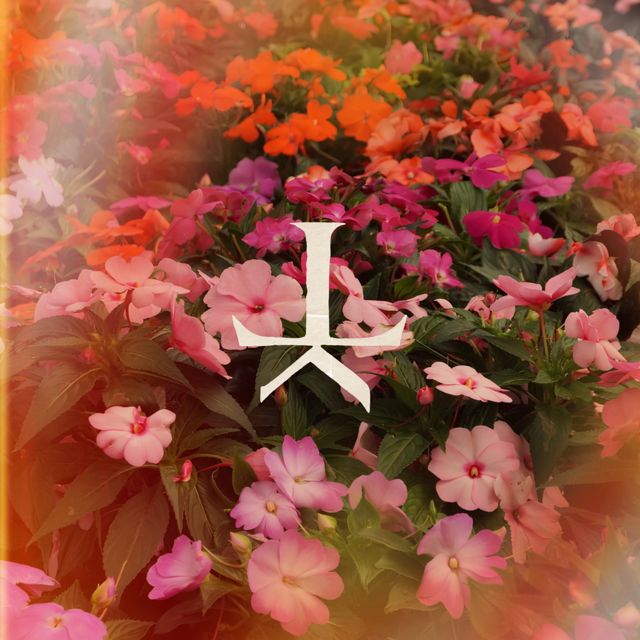 L0KJ - 'Me Gusta (feat. Kpricornio & Dener)' [Ringtone]