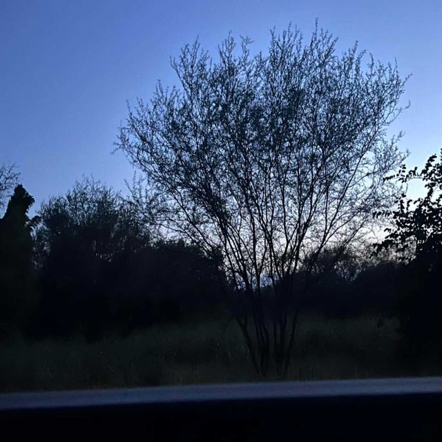 Toya MB - 'Nos tenemos ahora' [Ringtone]
