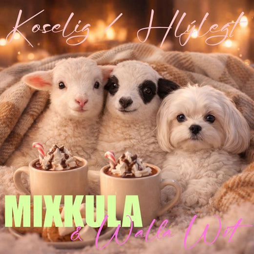 MIXKULA - 'Koselig / Hlýlegt (feat. Walla Wit)' [Ringtone]