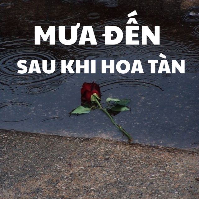 Yully - 'Mưa đến sau khi hoa tàn (remix)' [Ringtone]