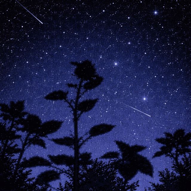 𝕃𝕠𝕗𝕚 𝖣𝖗𝖊𝖆𝖒 𝖢𝖆𝖘𝖙𝖑𝖊 - 'A soft warmth beneath the moon’s glow' [Ringtone]