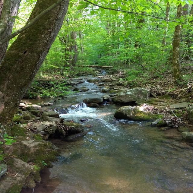 Skullkid - 'zombie slut' [Ringtone]