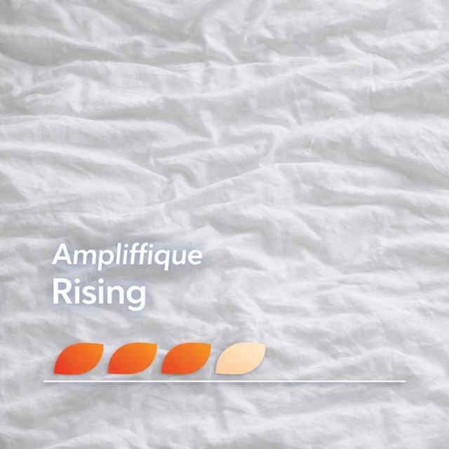 AMPLIFFIQUE - 'Rising' [Ringtone]