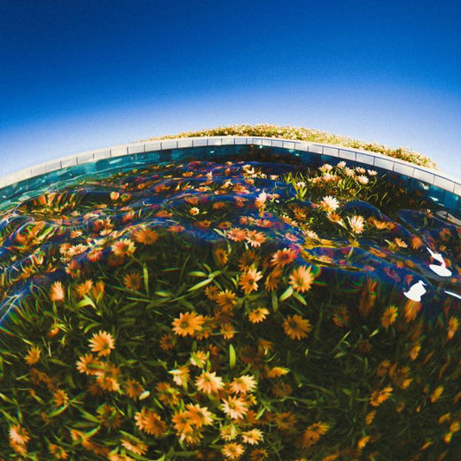 Grant Keller - 'selfless love' [Ringtone]