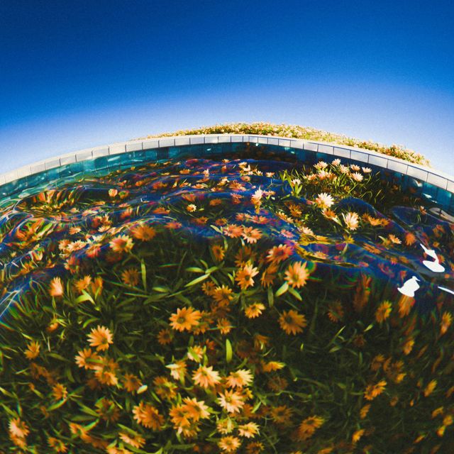Grant Keller - 'selfless love' [Ringtone]