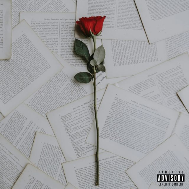 Vino Rose - 'City of Love' [Ringtone]