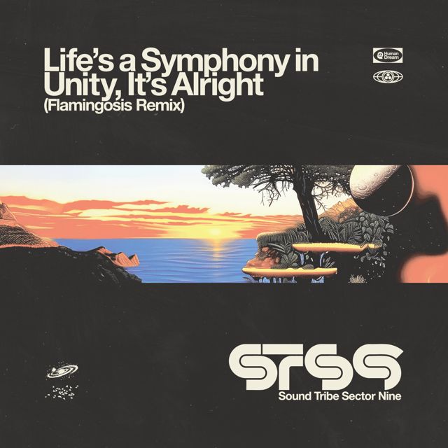 STS9 - 'Life's A Symphony In Unity, It's Alright (Flamingosis Remix) (feat. Flamingosis)' [Ringtone]
