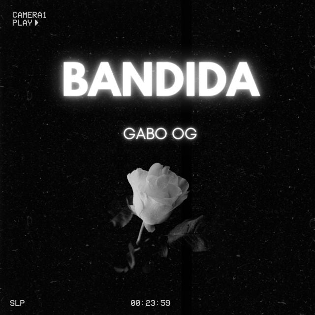 Gabo - 'BANDIDA' [Ringtone]