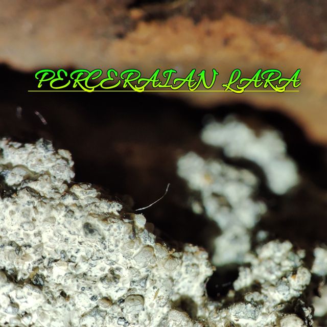 Syahrul - 'Perceraian Lara' [Ringtone]