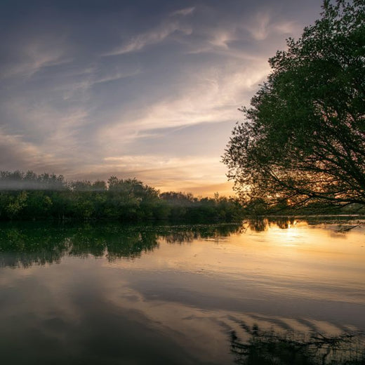 Elysian Winds - 'Evening Stream' [Ringtone]