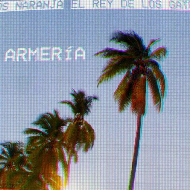 El Rey de los Gatos Naranja - 'ARMERÍA' [Ringtone]