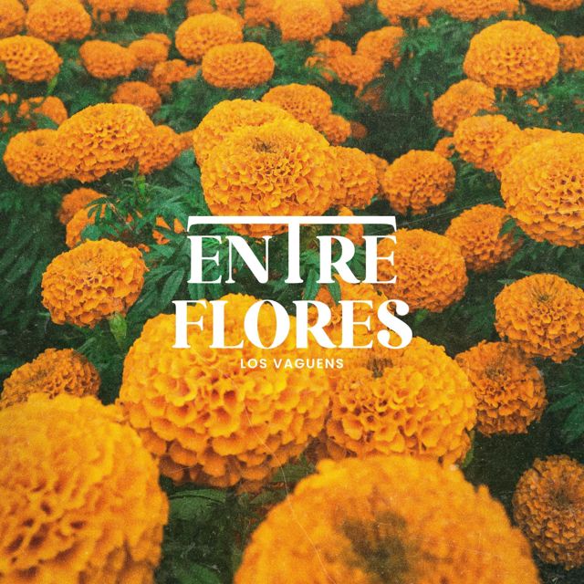 Los Vaguens - 'Entre Flores' [Ringtone]
