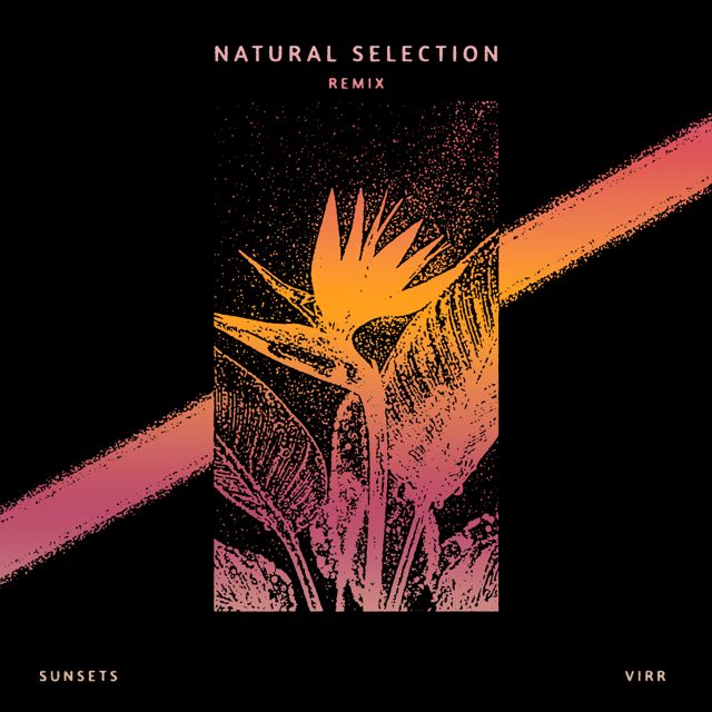 Sunsets - 'Natural Selection (feat. Virr)' [Ringtone]