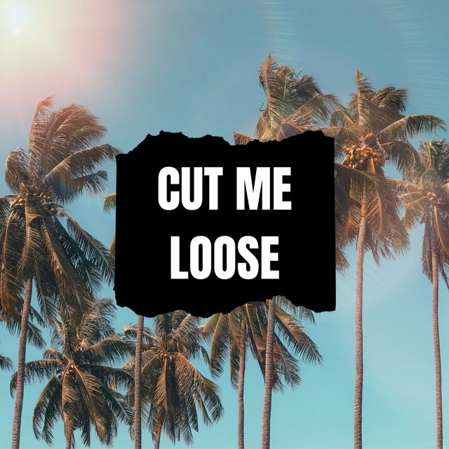 Frazer Brooks - 'Cut Me Loose (2021 Edit)' [Ringtone]