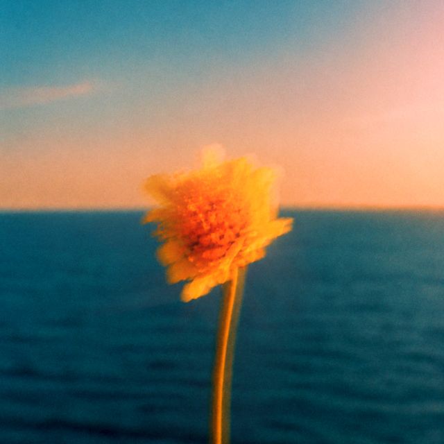 samugusi - 'MI PEQUEÑA FLOR (feat. RanZel)' [Ringtone]