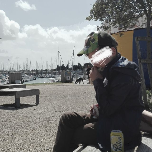 All Falls Together - 'The Trees Are Dying' [Ringtone]