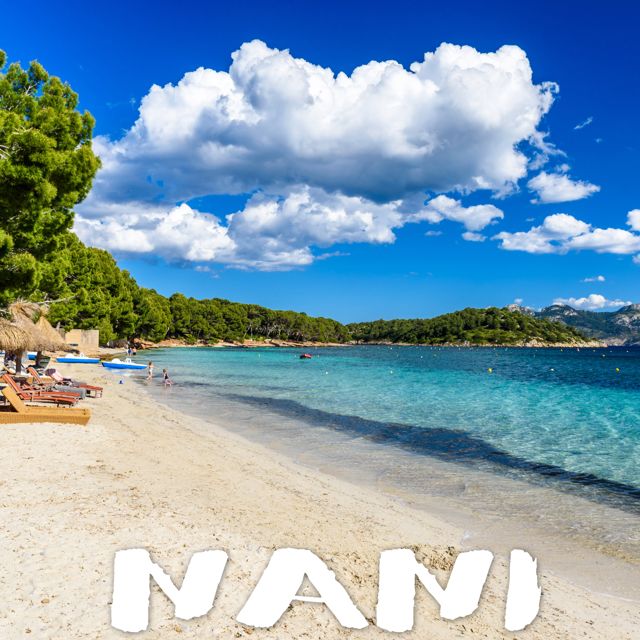 Tropical Jawns - 'Nani (Marimba Version)' [Ringtone]