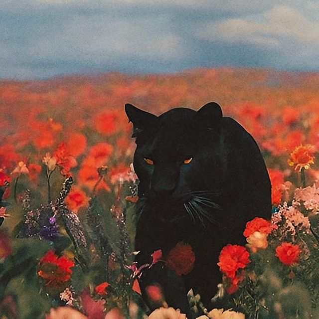 Ïnnü - 'PNKGRDN' [Ringtone]