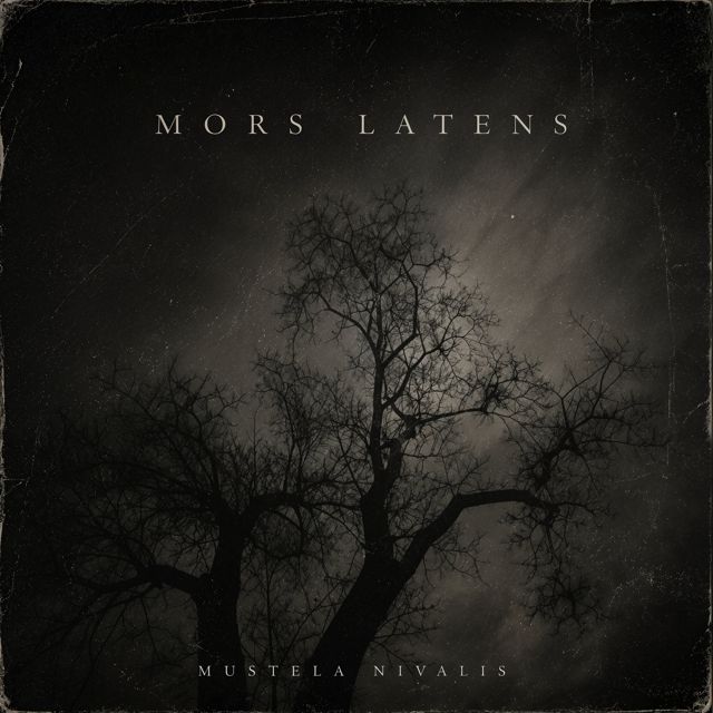 Mustela Nivalis - 'Mors Latens' [Ringtone]