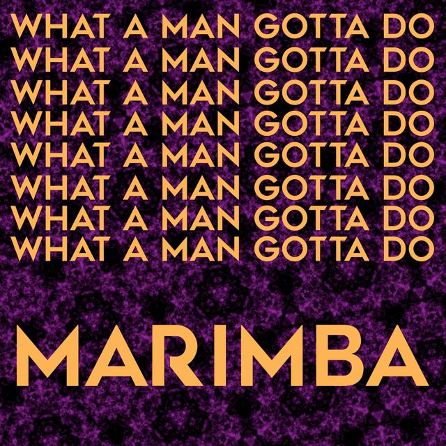 Trenz Barak - 'What A Man Gotta Do (Marimba Remix Cover)' [Ringtone]