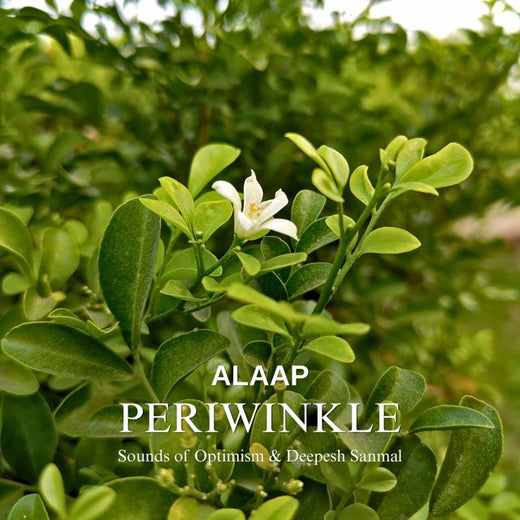 Sounds of Optimism - 'Periwinkle Alaap (feat. Deepesh Sanmal)' [Ringtone]