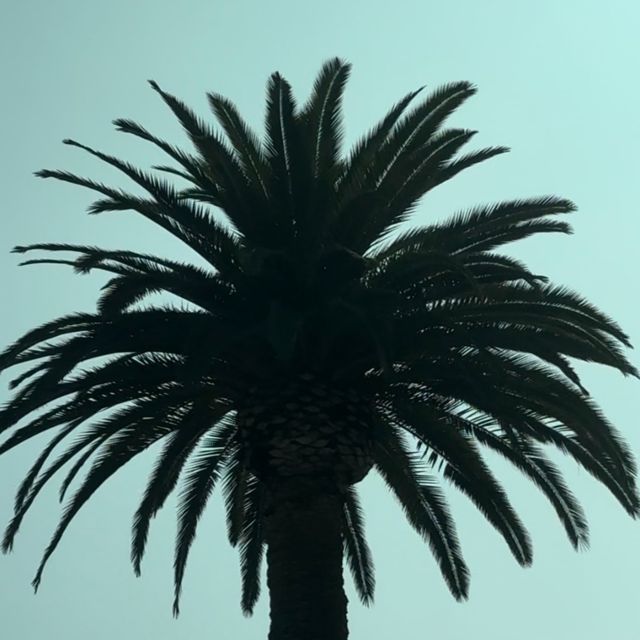 Teeba - 'Oregon Trail (feat. J57)' [Ringtone]