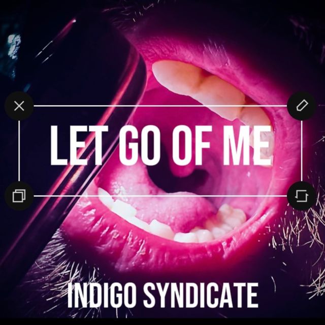 Indigo Syndicate - 'Let Go Of Me' [Ringtone]