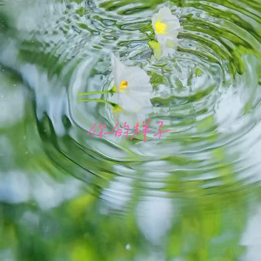 林诗曼 - '你的样子' [Ringtone]