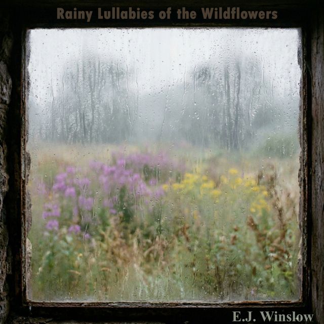 E.J. Winslow - 'The Sound Against the Glass' [Ringtone]
