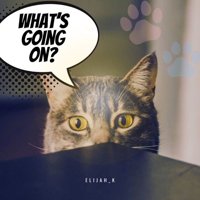 Elijah_K - 'What's Going On' [Ringtone]