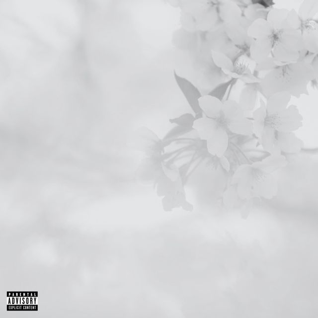 EverestAspirin - 'Got That' [Ringtone]